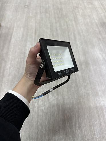 Светодиодный прожектор LION 30W, IP66 - Мощность: 30 Вт - Класс