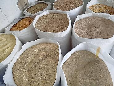 продаю кукурузу: Жемдин бардык турлору бар заказ кылсаныздар салып жиберебиз — 5