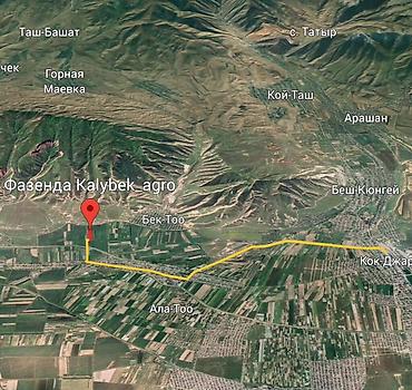 Продажа сельхоз предприятий: Питомник растений, 220 соток, Действующий, Частично с оборудованием, Электричество, Холодная вода — 15