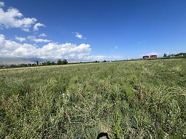 o2 development: 220 соток, Для сельского хозяйства, Договор купли-продажи, Тех паспорт — 5