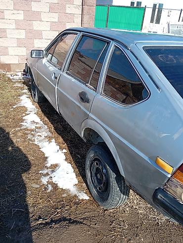 Volkswagen: Volkswagen : 1980 г., 1.8 л, Механика, Бензин, Хэтчбэк — 12