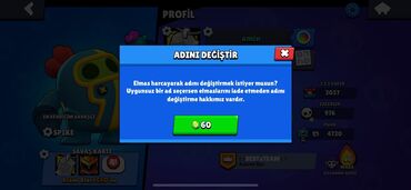 Video oyunlar üçün aksesuarlar: Brawl Stars hesabı – yüksək səviyyəli, oynamağa hazır - Kupa: 19 135 — 3