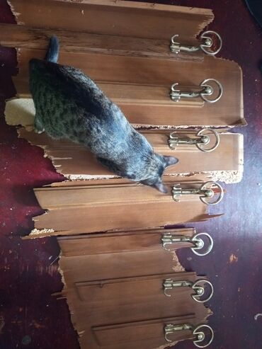 Asılqanlar: Sovetden qalma,qedimi qarderobun, taxta ve polad asilqani — 14