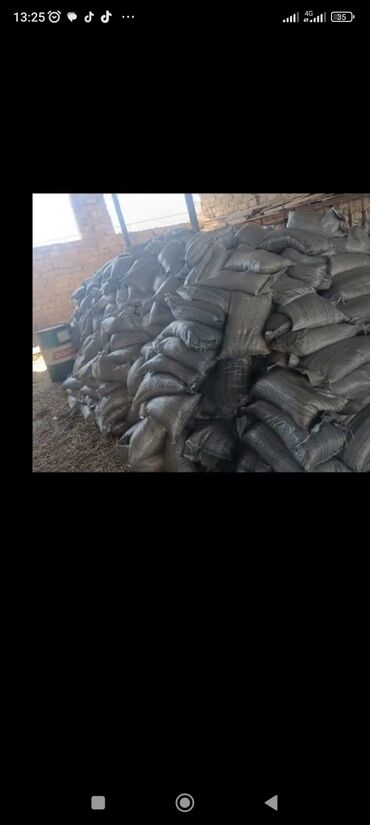 Toxumlar: Qazon catrlma qurasdrma 
tordf
kakavide var topdan sats qiymete — 15