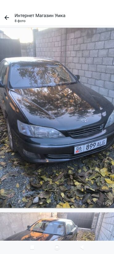 toyota cilica: Продаю Toyota Windom 1999года.обьем 2.5.Свеже покрашенаменён