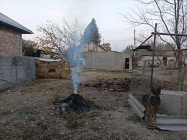 Продажа коттеджей и домов: Продаётся частный дом с большим двором и хозяйственными постройками at lalafo.kg — 8 Продажа коттеджей и домов: Продаётся частный дом с большим двором и хозяйственными постройками — 8