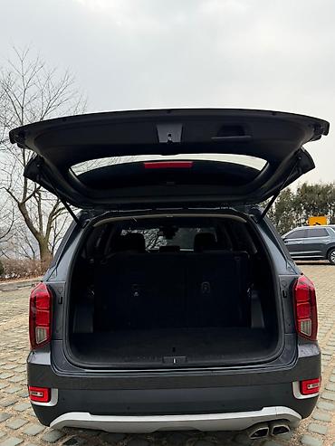 Hyundai: Hyundai Palisade: 2019 г., 2.2 л, Автомат, Дизель, Кроссовер — 25