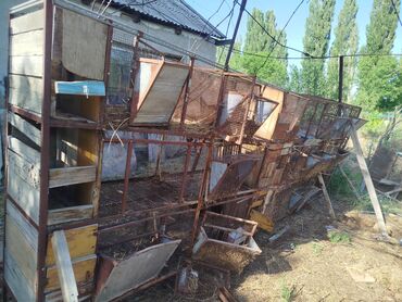Другие животные: Коёнго клеткадан Уй то́ро́й Турган жери менен