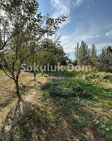 Продажа коттеджей и домов: 🏠Продается дом в с. Романовка 🟡 Комнаты: 3 🟡 Участок: 15 соток 🟡 — 6