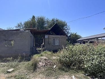 5 соток, Красная книга at lalafo.kg 5 соток, Красная книга