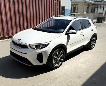 рио машина: Kia Stonic: 2019 г., 1.4 л, Автомат, Бензин, Хэтчбэк