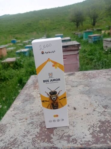 Продажа домов: Дом, 60 м², 4 комнаты, Собственник, Косметический ремонт — 16