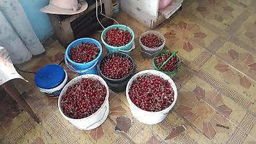 Продажа коттеджей и домов: Продаю дом в Иссык-Кульской области, село Григорьевка-Пристань. 4 — 4