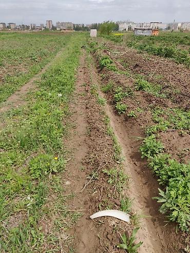 Куплю земельный участок: 10 соток — 4