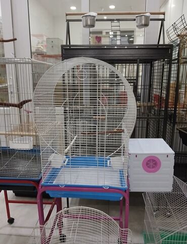 Qəfəslər: Her qiymete her olcude yeni qefeslermiz var satisda bayram edirimleri -da lalafo.az — 3 Qəfəslər: Her qiymete her olcude yeni qefeslermiz var satisda bayram edirimleri — 3