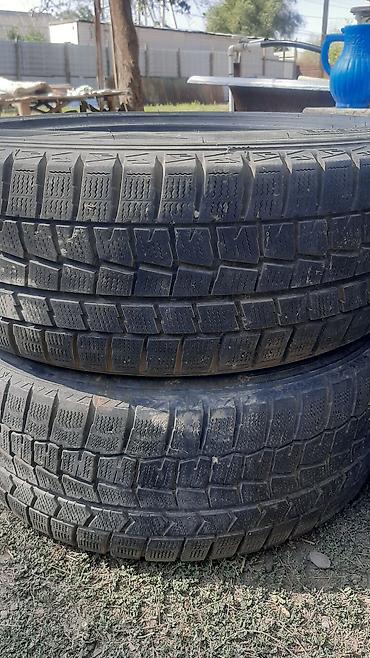 Шины 215 / 50 / R 17, Зима, Б/у, Комплект, Легковые, DUNLOP — 1