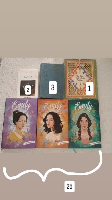 informatika dim qayda kitabi pdf: Emily kitabları cildlidir 3ü birlikdə setdir 25 azn