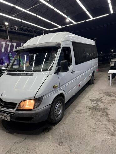 спринтер плафон: Mercedes-Benz Спринтер: 2001 г., Дизель, Бус