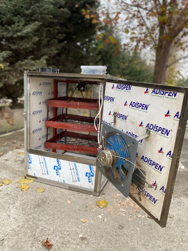 İnkubatorlar: Tam avtomat — 5