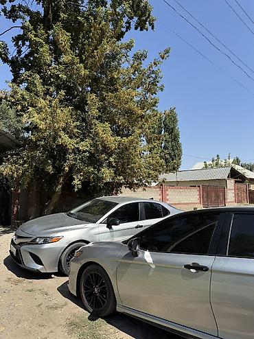 авто багаш: Toyota Camry: 2019 г., 2.5 л, Автомат, Бензин, Седан — 10