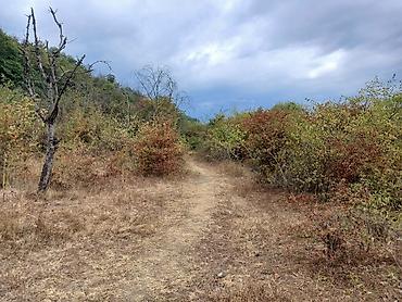 Torpaq sahələrinin satışı: 170 sot, Biznes üçün, Mülkiyyətçi, Kupça (Çıxarış) — 8
