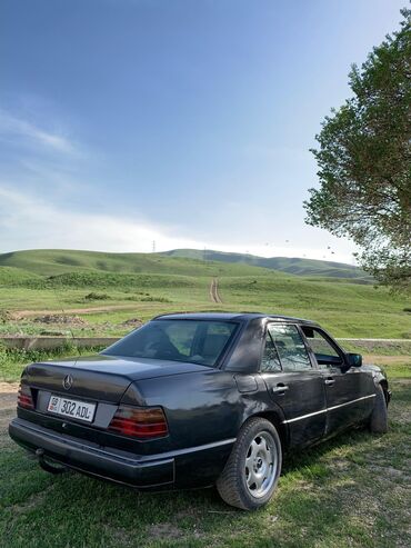 мерседес s класс 220: Mercedes-Benz W124: 1989 г., 3 л, Механика, Дизель, Седан