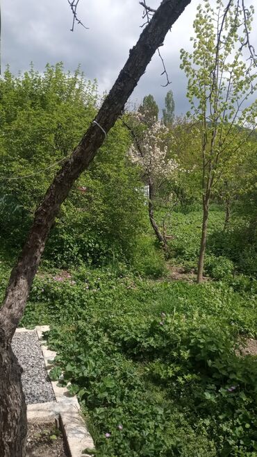 Günlük kirayə evlər: 150 kv. m, 4 otaqlı, Kombi, Qaz, İşıq — 16