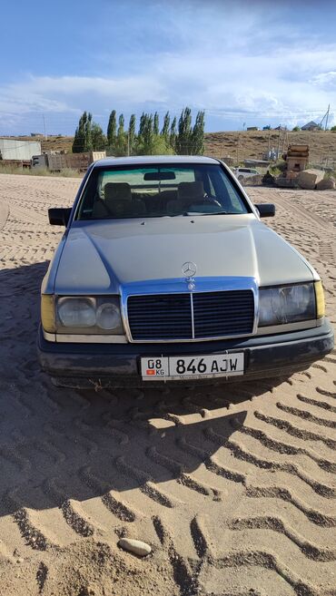 Транспорт: Mercedes-Benz W124: 1987 г., 2.3 л, Механика, Бензин, Бус