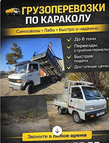 type s: Грузоперевозки по Караколу - Самосвалы и малотоннажные авто (Лабо) - — 1