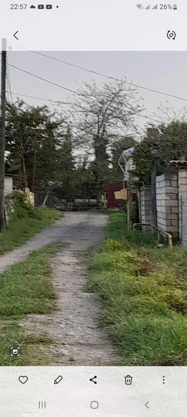 lenkeran torpaq sahesi: 6 sot, Tikinti, Kupça (Çıxarış)