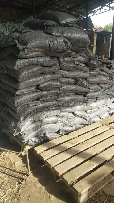 Şitillər: Torf gubresinn satisi ve dekarativ agaclarin satsi qazon torf torpaq -da lalafo.az — 5 Şitillər: Torf gubresinn satisi ve dekarativ agaclarin satsi qazon torf torpaq — 5