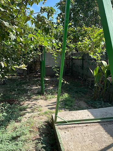 Mənzil kirayələyirəm: 5 otaqlı, 95 kv. m — 16