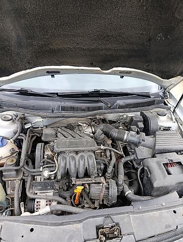 golf maşını: Volkswagen Golf: 1.6 l | 2001 il Hetçbek — 4