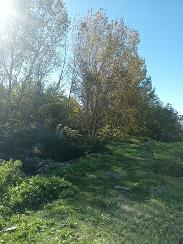 Həyət evləri və villaların satışı: Torpaq bağ sahəsi 42 sot meyvə baği satıram -da lalafo.az — 24 Həyət evləri və villaların satışı: Torpaq bağ sahəsi 42 sot meyvə baği satıram — 24
