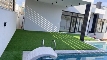 Bağ və bostan üçün digər məhsullar: 19 man baslayan qiymetler — 11