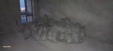 Демонтажные работы: Снос стен, Разбор полов, Снятие потолков | Гипсокартонная стена, Снятие старой штукатурки, Кирпичная стена | Зачистка от старых обоев, Сбивка старой штукатурки, Снятие извести | Демонтаж ламината, Демонтаж паркета, Демонтаж линолеума | Крыша из шифера, Металлочерепичная кровля, Мягкая кровля 3-5 лет опыта at lalafo.kg — 8 Демонтажные работы: Снос стен, Разбор полов, Снятие потолков | Гипсокартонная стена, Снятие старой штукатурки, Кирпичная стена | Зачистка от старых обоев, Сбивка старой штукатурки, Снятие извести | Демонтаж ламината, Демонтаж паркета, Демонтаж линолеума | Крыша из шифера, Металлочерепичная кровля, Мягкая кровля 3-5 лет опыта — 8