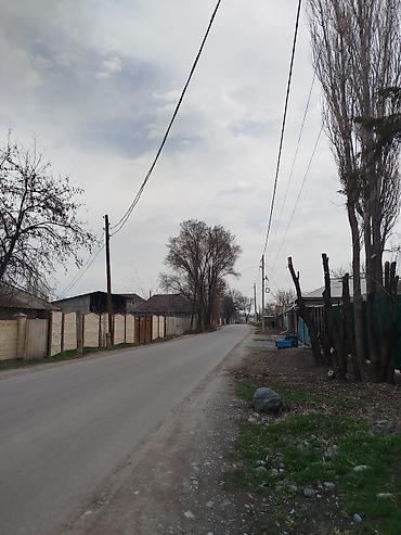 Продажа коттеджей и домов: Продается дом в г. Кара балта 17,5 соток. Мы посадили осенью новый — 1