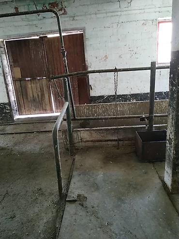 ферма скотник: Farm КРС, 88 соток, Электричество, Холодная вода — 10