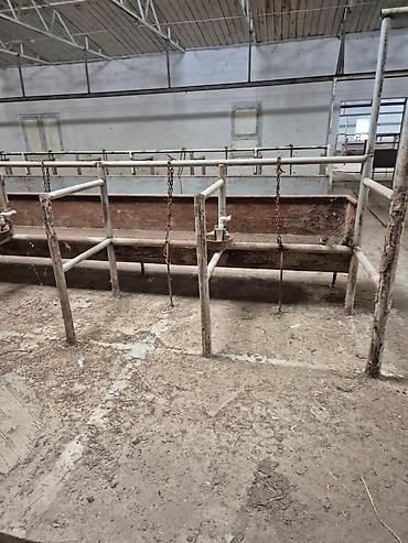 fermaya: Ferma mal saxlamaq üçün mükemmel bir yerdi erazisi böyük ve elave — 9