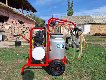 апарат для дойки: Доильный аппарат Lusna 40.8 Milking Machine. Мало использовалось -