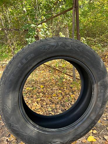 55: Зимняя шипованная шина Rotalla 265/55 R20 113T (XL) - Тип: зимняя — 1