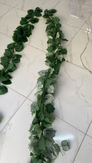 Digər ev dekoru: 5 man baslayan qiymetler Minumal qiymetler topdan ve perakenden satis -da lalafo.az — 24 Digər ev dekoru: 5 man baslayan qiymetler Minumal qiymetler topdan ve perakenden satis — 24