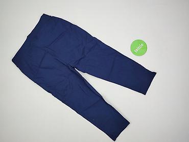 dres wass: Janina, Spodnie materiałowe damskie, rozmiar L — 3