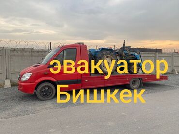 кенгуру токмок: Эвакуатор эвакуатор эвакуатор эвакуатор эвакуатор эвакуатор эвакуатор