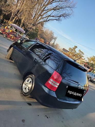 Toyota: Toyota WISH: 2003 г., 1.8 л, Автомат, Бензин, Универсал — 7