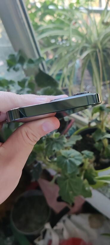 Apple iPhone: Apple iPhone iPhone 13 Pro, Alpine Green, Face ID — 11
