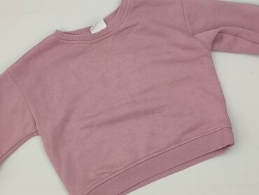 obcisłe podkoszulki: Світшот, Zara, 12-18 міс., стан - Дуже гарний