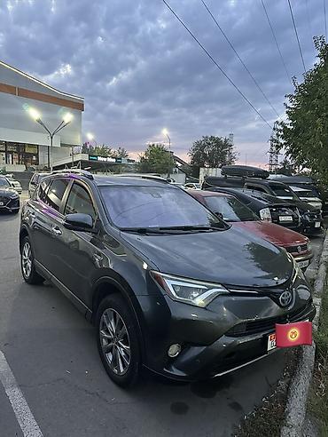 раф: Toyota RAV4: 2016 г., 2.5 л, Автомат, Гибрид, Кроссовер — 1