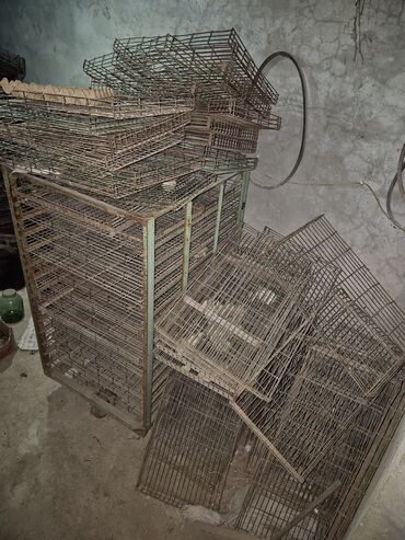 İnkubatorlar: 5000 yumurta, Bütün növ quşlaq üçün — 3