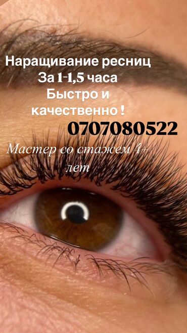 частный репетитор подготовка к школе: Кирпиктер, Голливуд, Классика, 2D, Үйүнө баруу менен, Консультация, Гипоаллергендик материалдар